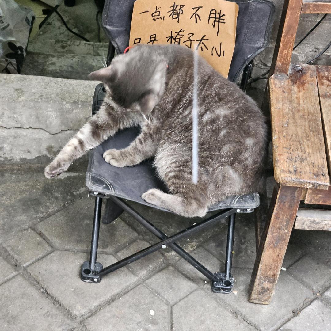 浩瀚无垠✔