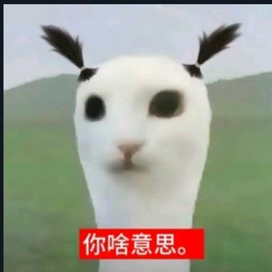 AAA重型卡车马师傅