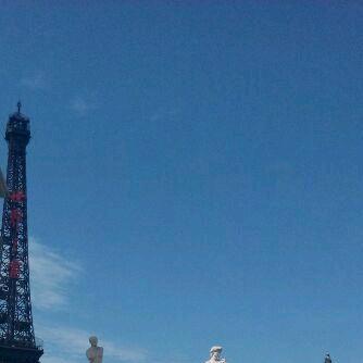 LINLIN（林骑士）