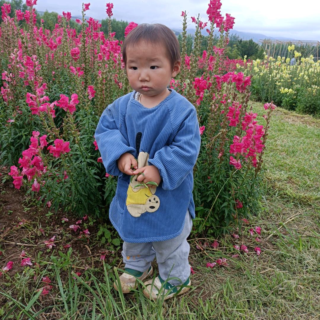 大仙仙