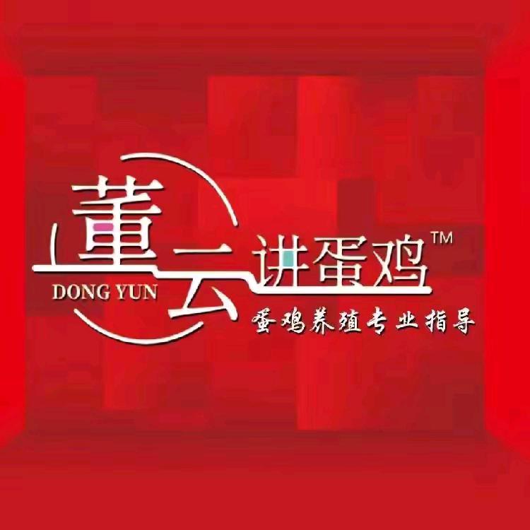 董云讲蛋鸡～小樊