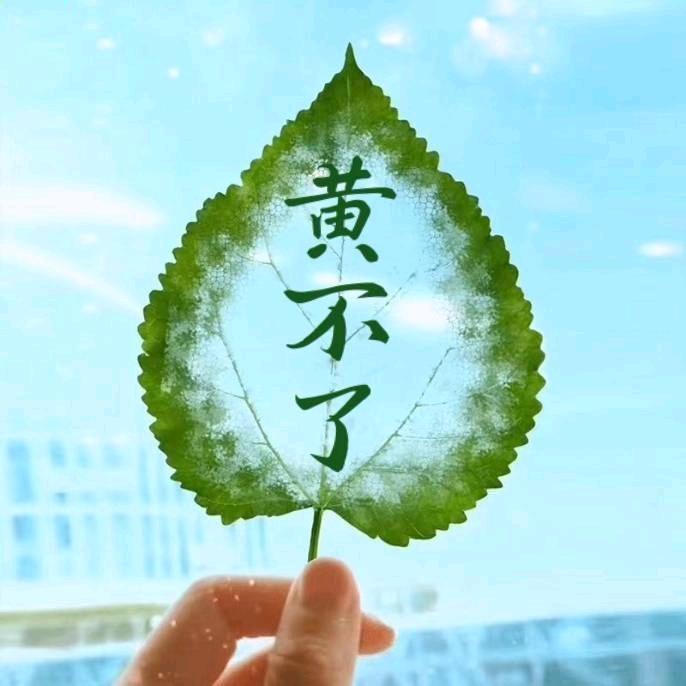 往事清零