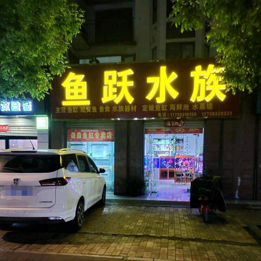 鱼跃水族
