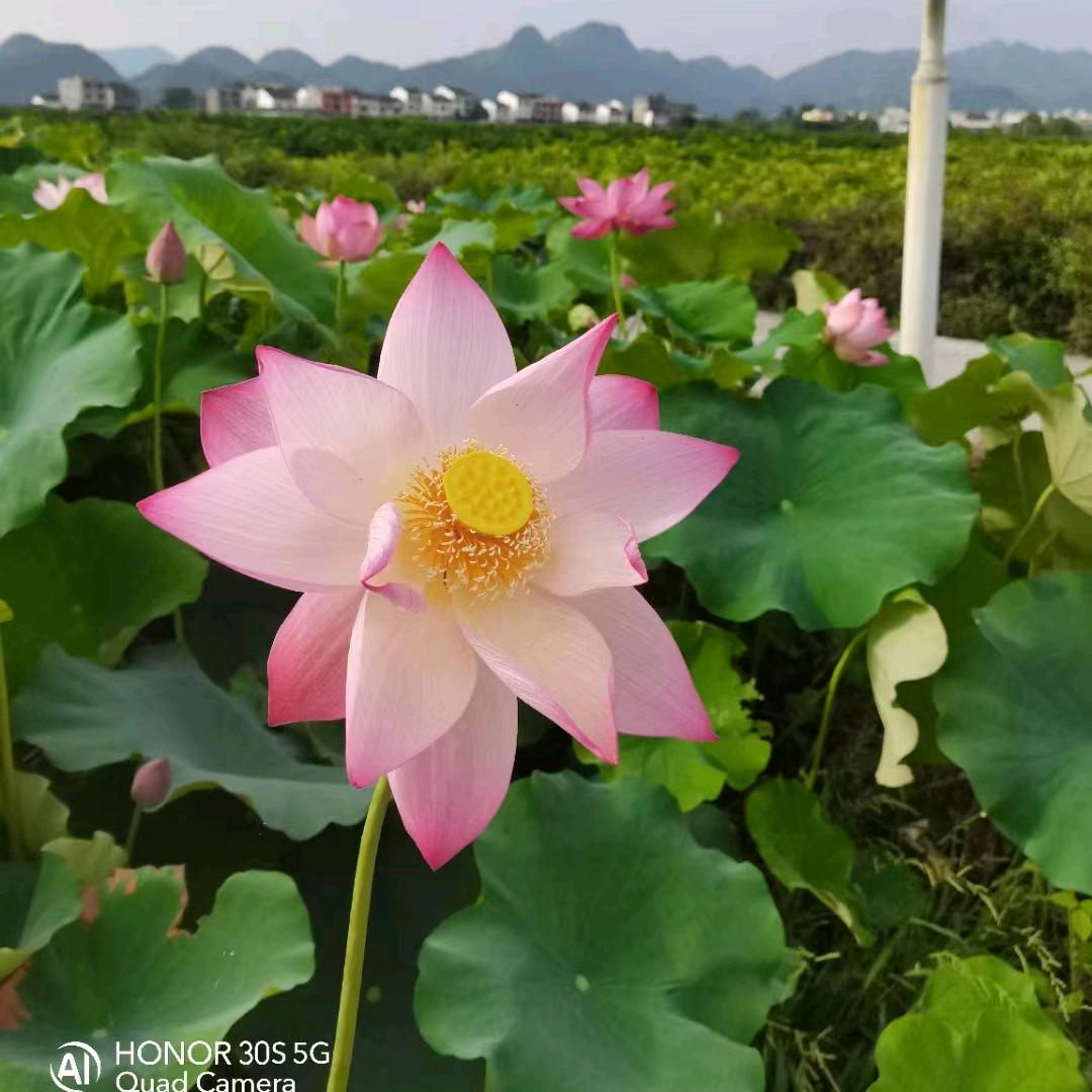 80后的老阿姨