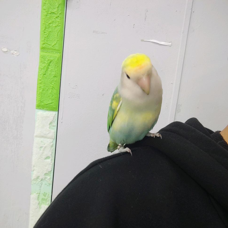 2567