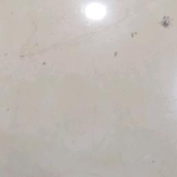 亮堂堂呀