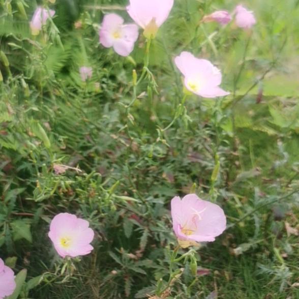 今生不再错过你