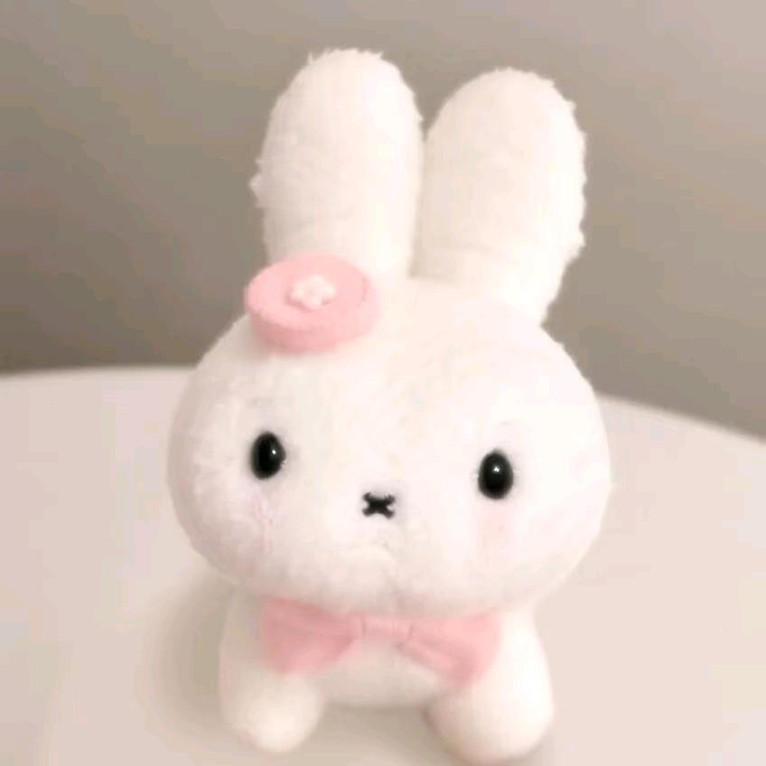 小阳书希