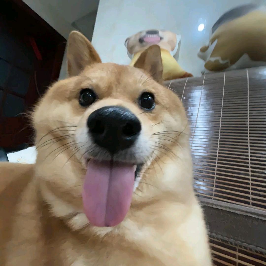 不瘦三百斤不改名