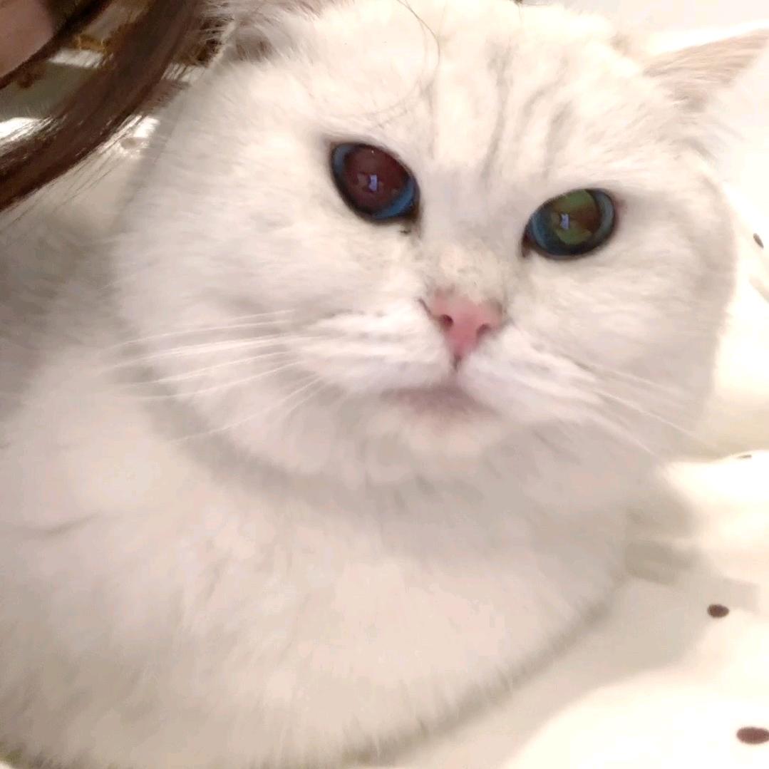 易过网职称评审-小代