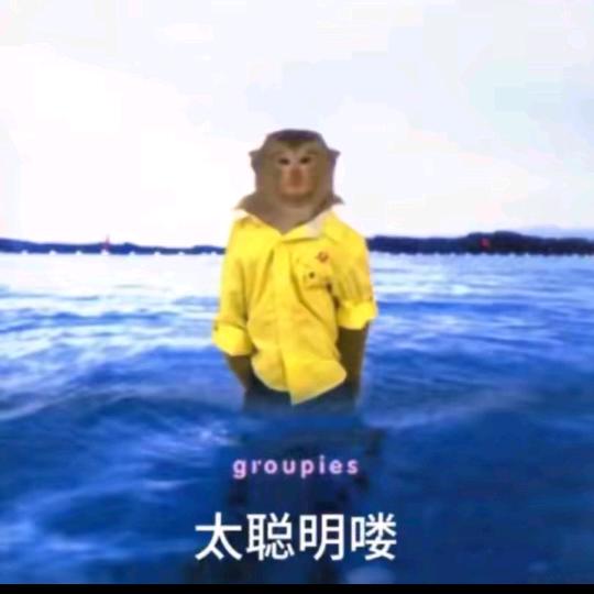 渣渣莓