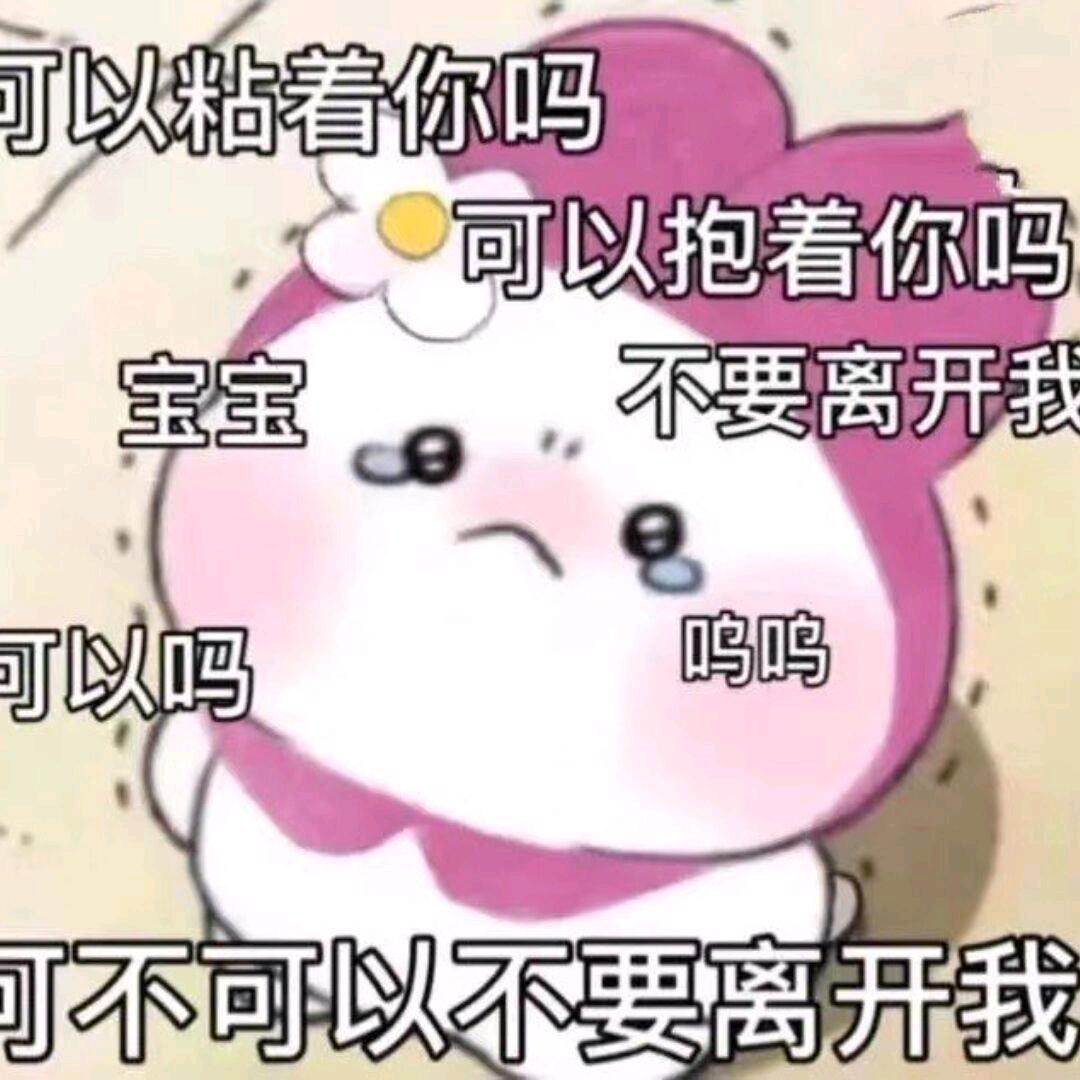 哈基喵