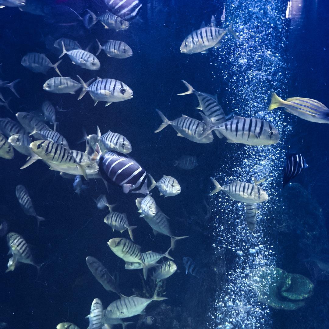 用户Meet你好←（♡♡）→