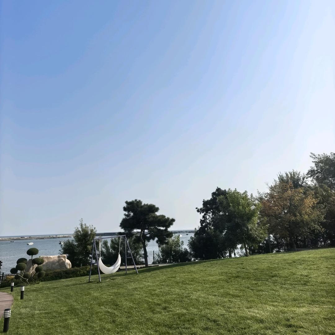 不参与别人的因果