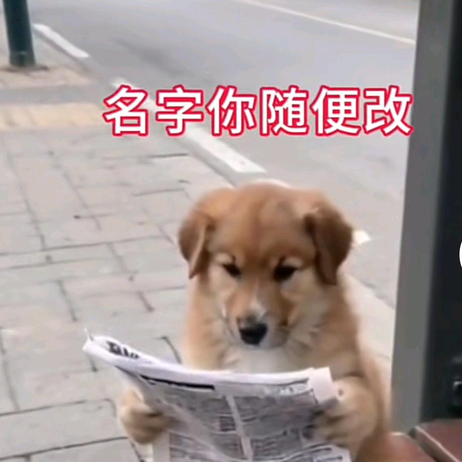 🌅最爱吃稀饭（土豆）🇨🇳