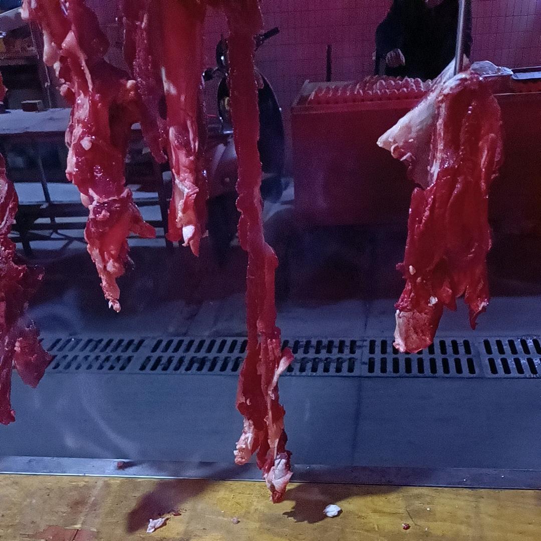 遂宁市蓬溪县吉祥镇十二大队三队郭建华养牛