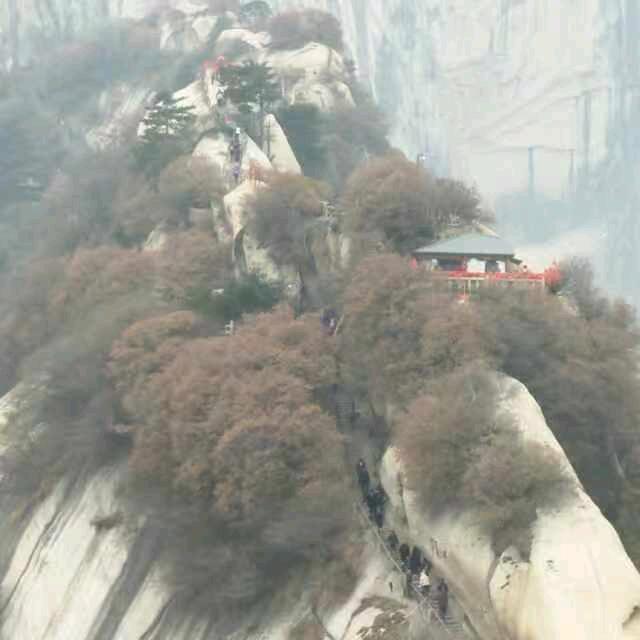 爱♝宇♝恨