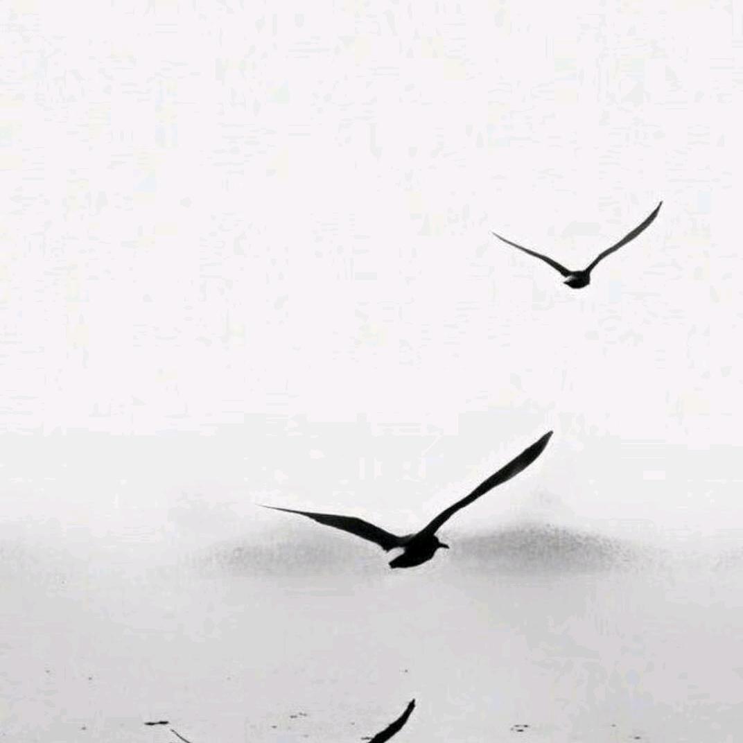 明月记