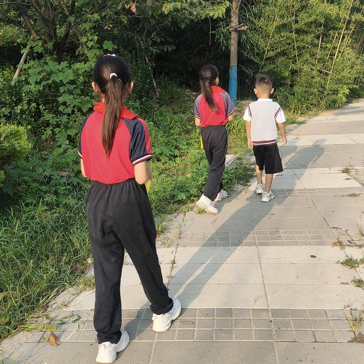 不二萌宠