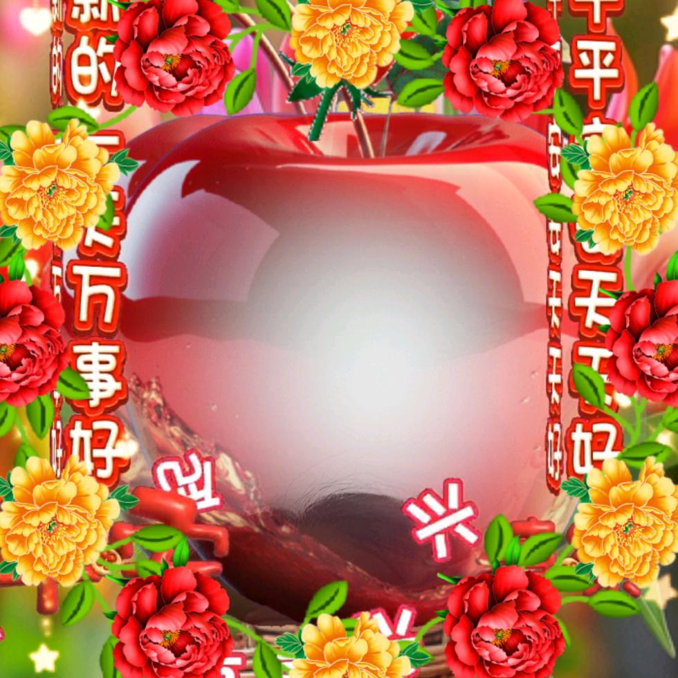 轮椅女孩玩抖音