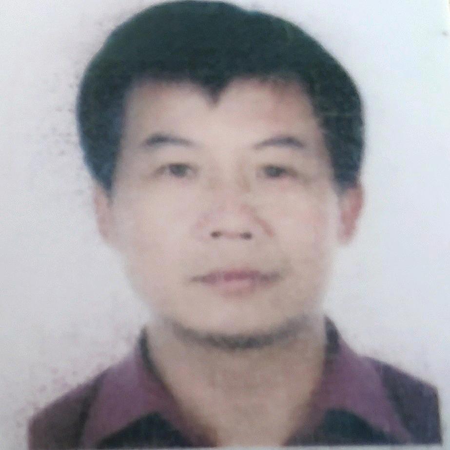 专业培育浙江萧山产，北海道黄杨