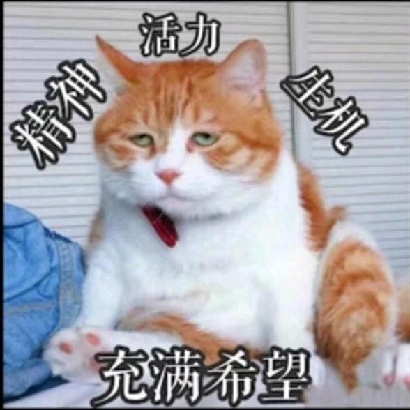 䀍䴝䵔䭱濷䉷嵒齨