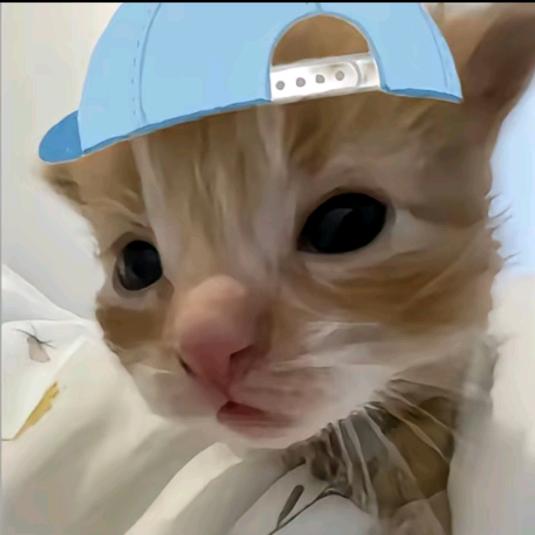故月归