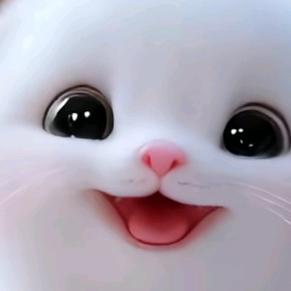 流氓，遇见，笨蛋