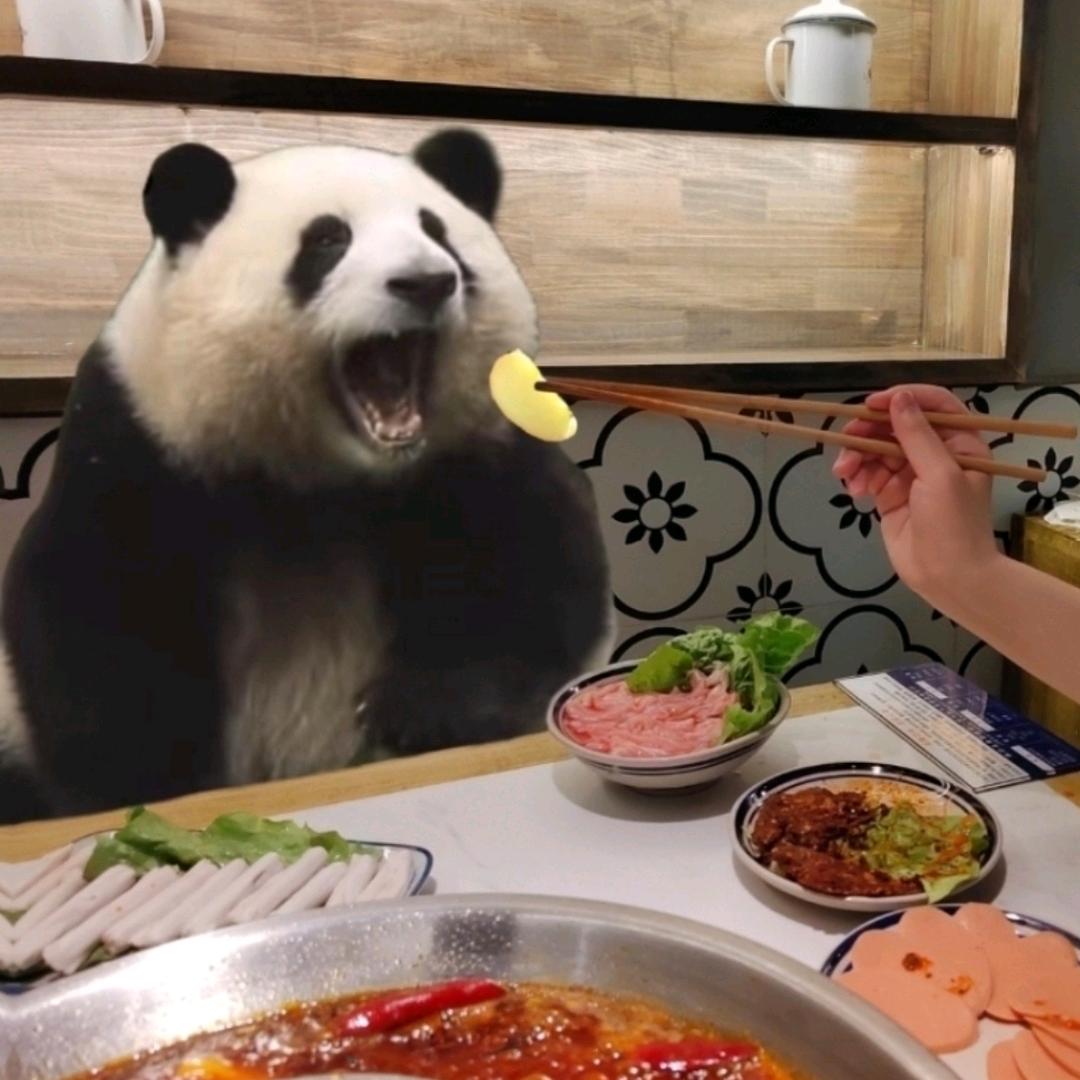 无敌自由吊炸天羊霸🐑🐑