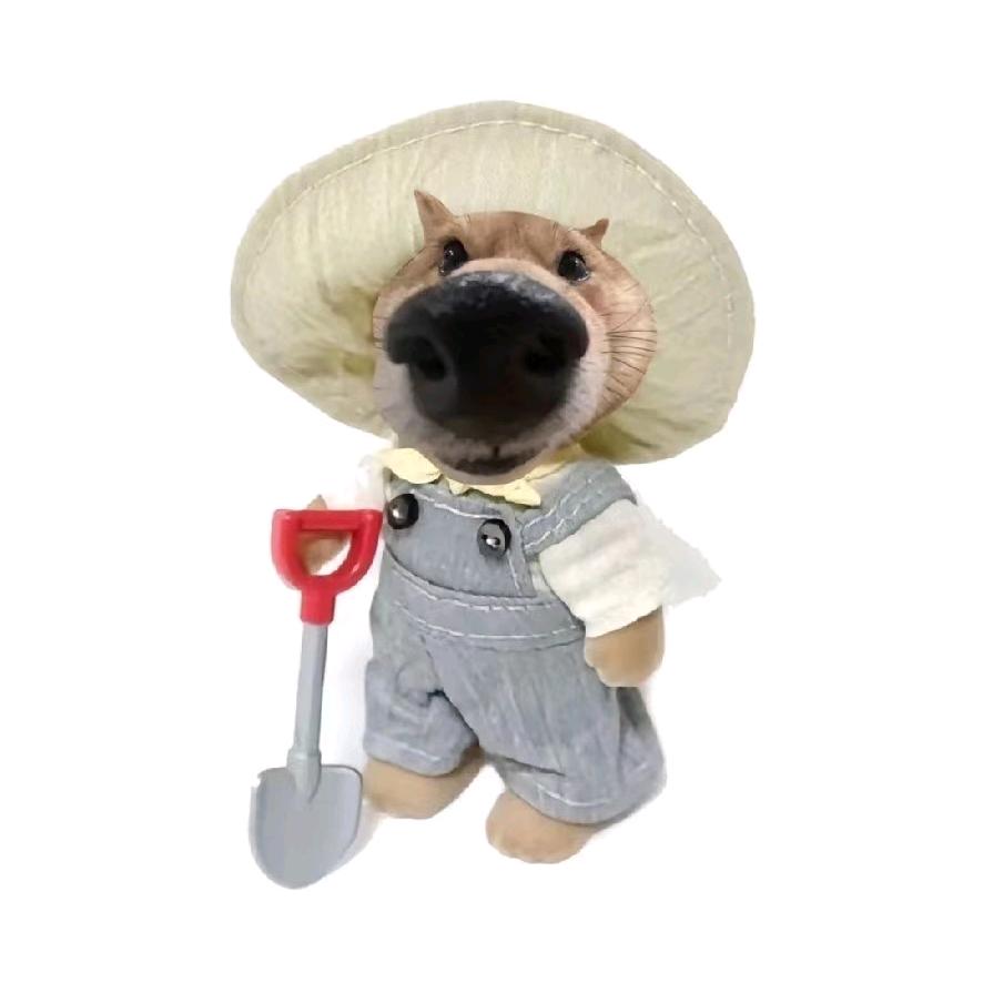 咻咻(⁎⁍̴̛ᴗ⁍̴̛⁎)