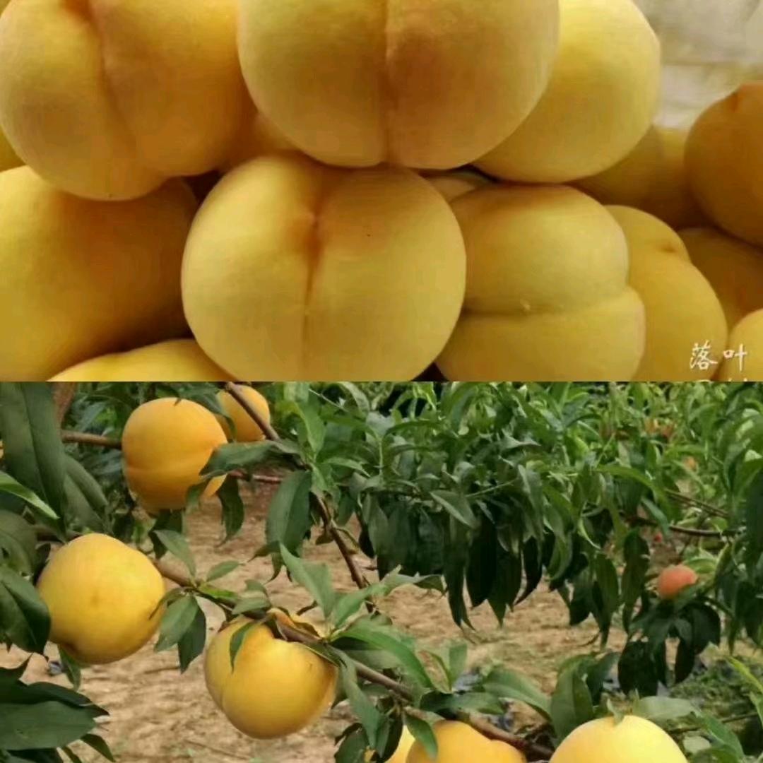 🧡🧡李成意🧡🧡
