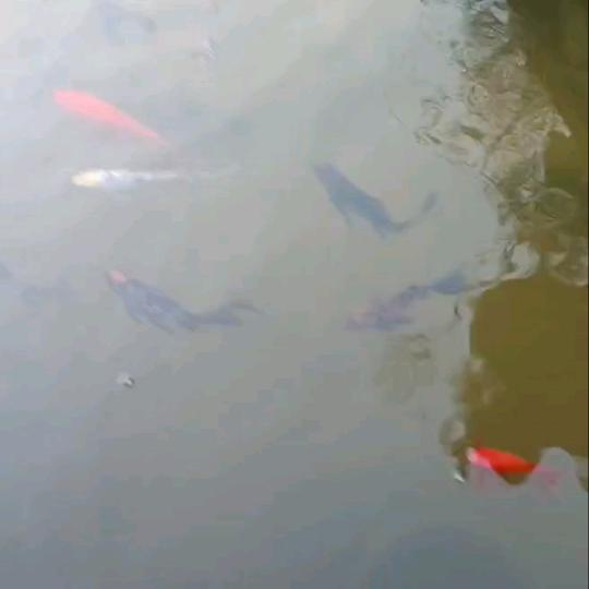 红志钢构