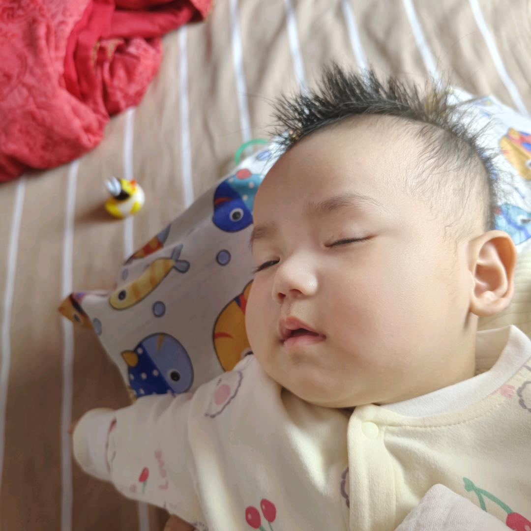 爱吃蛋蛋