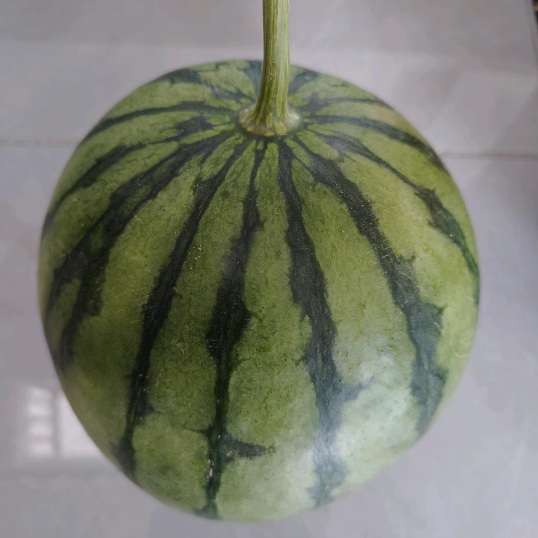 瓜田物语
