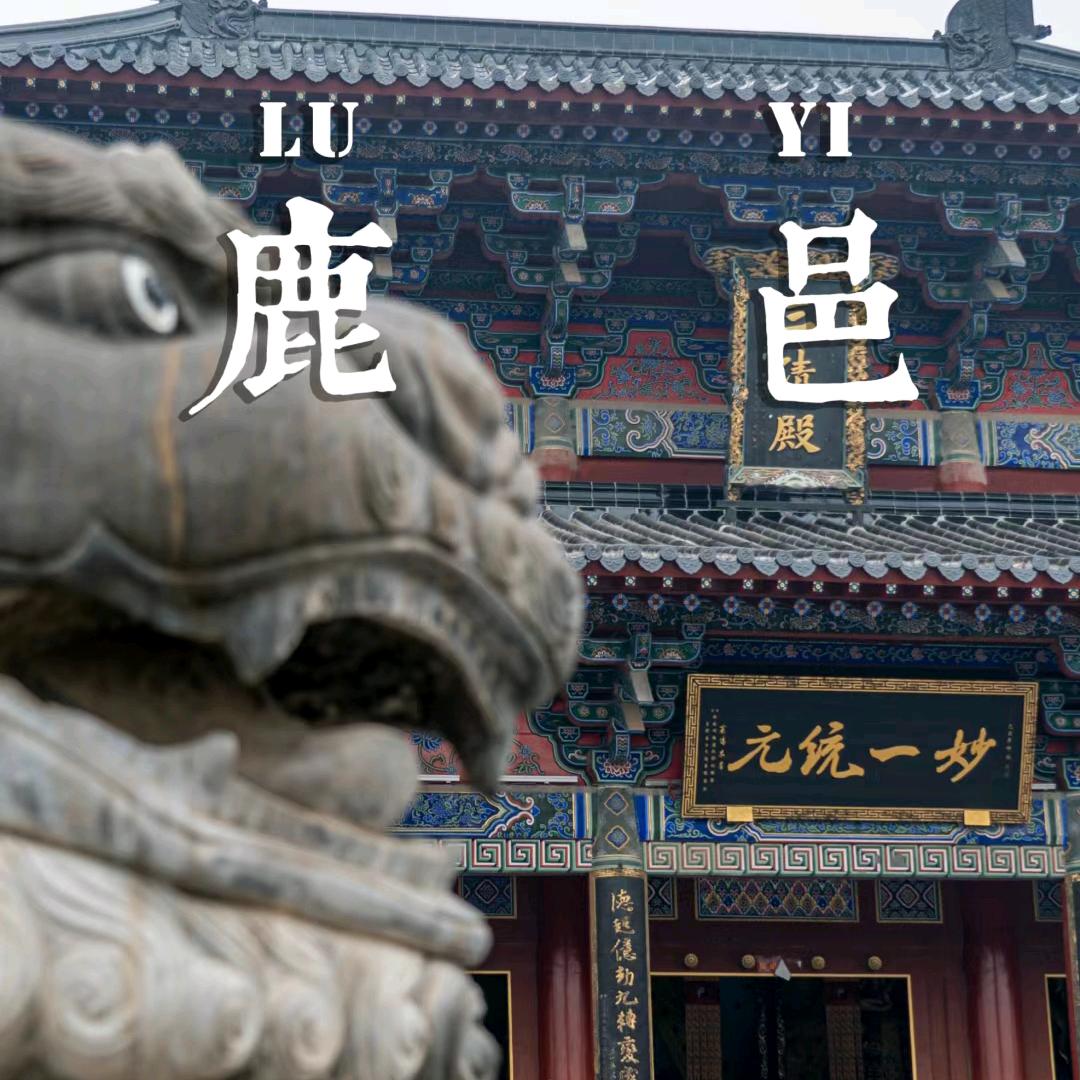 鹿邑抖音团购