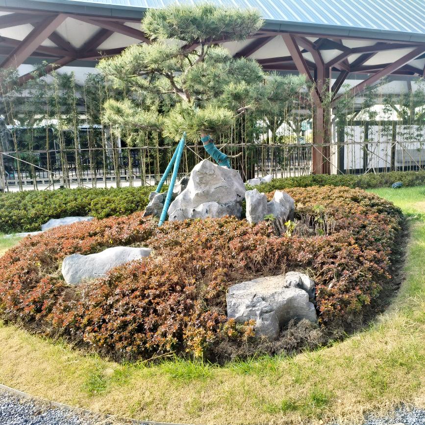 安稳