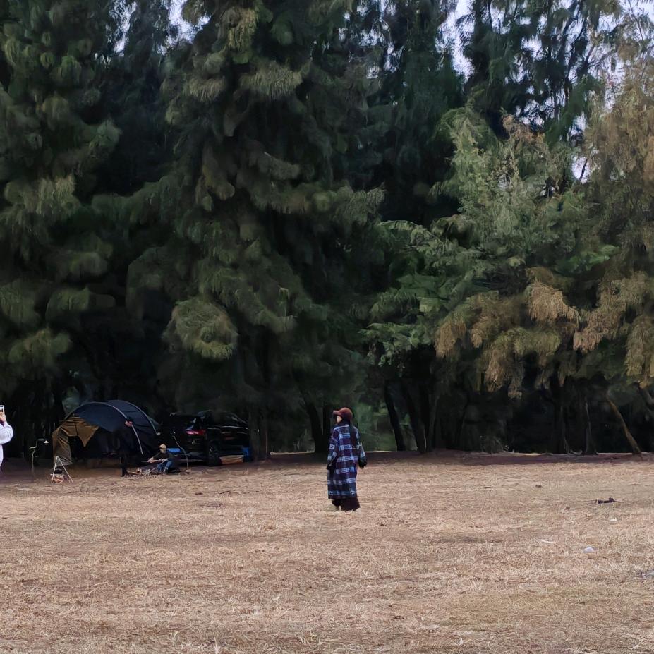 肆季TEA&WHISKY官方号