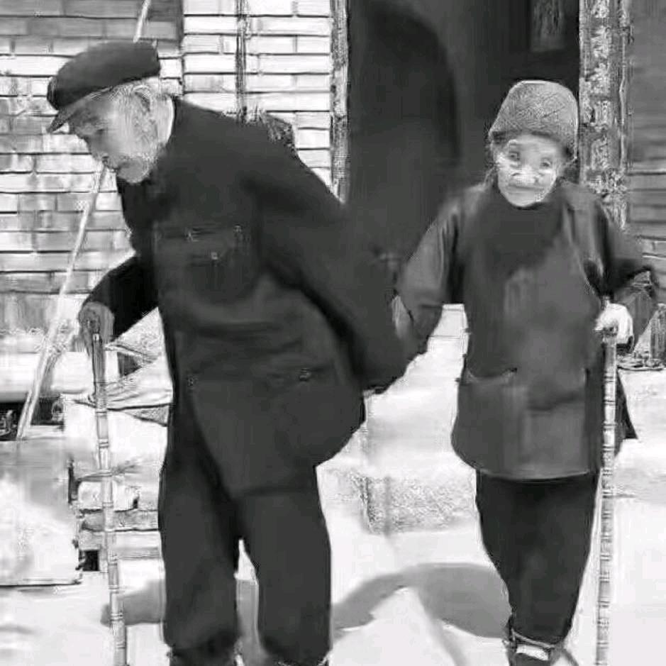 老鹰（宝贝回家）