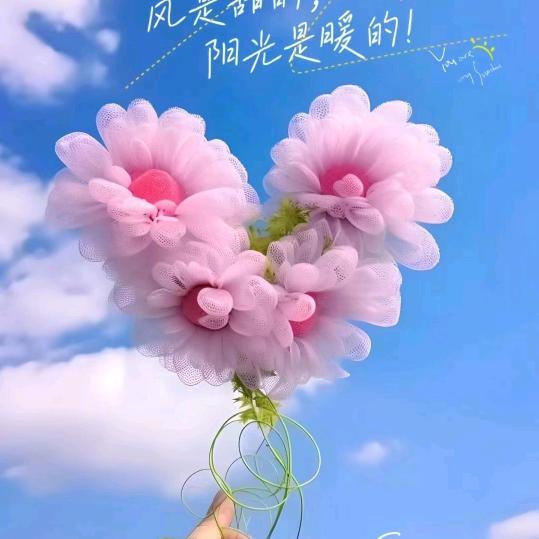 嘤嘤母婴–(中山北路店)