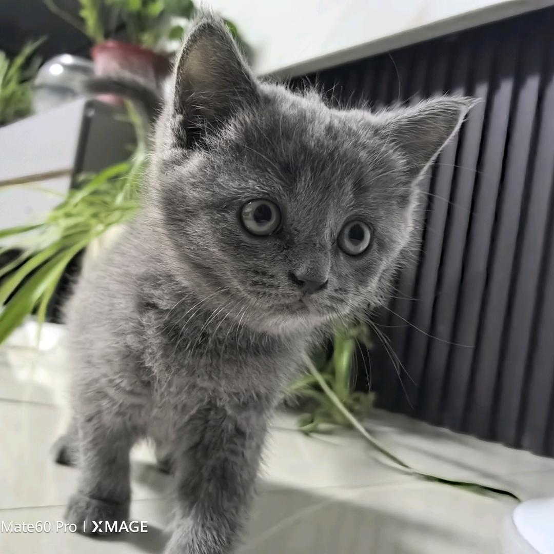 Zhaoqinghai🌞🌞🌞