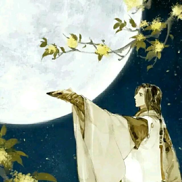 晨风依旧