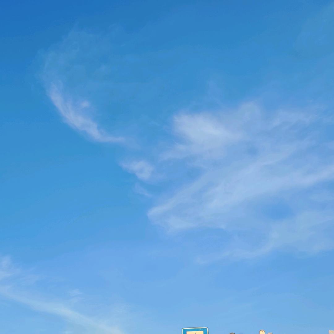 向往天空