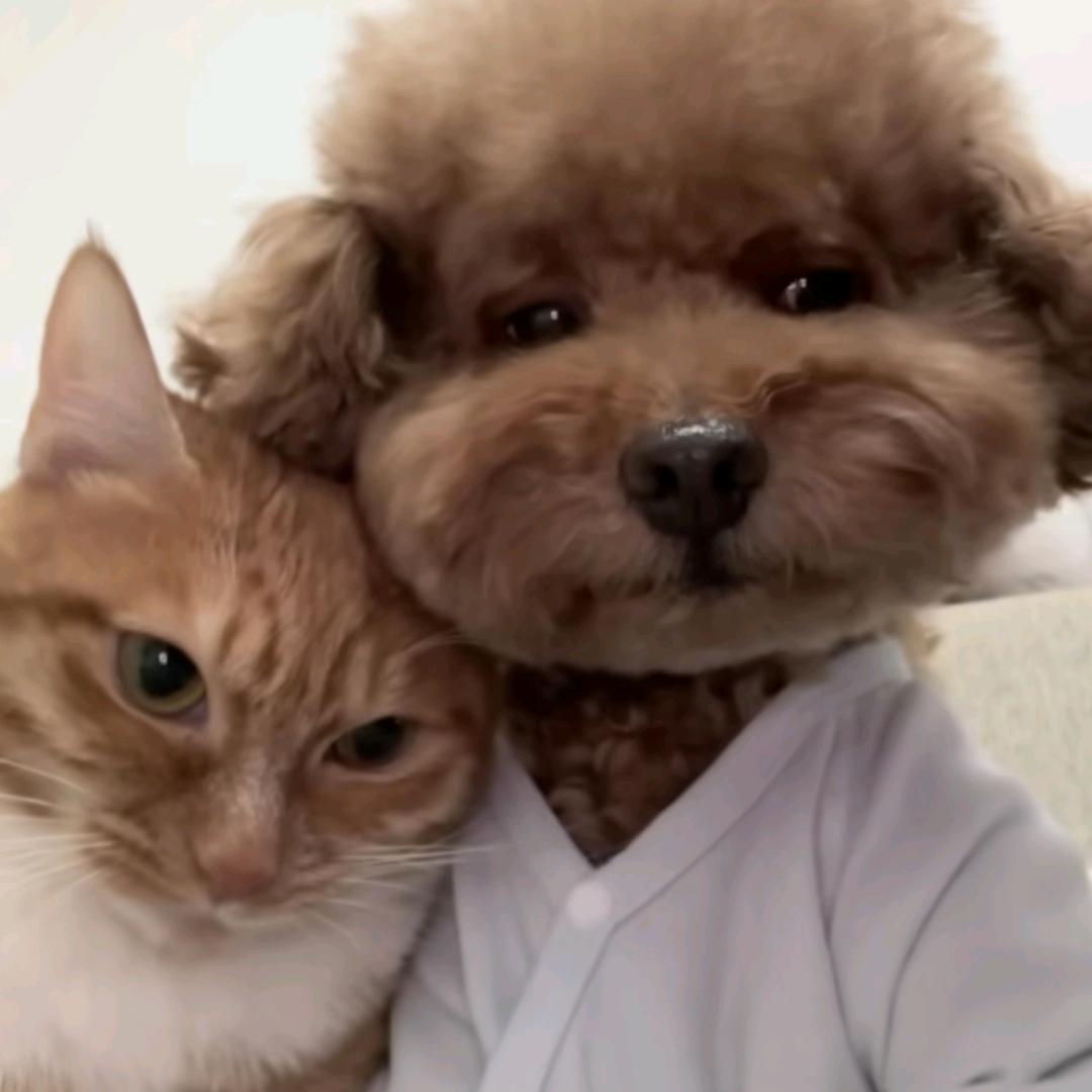 大哥永远罩着你