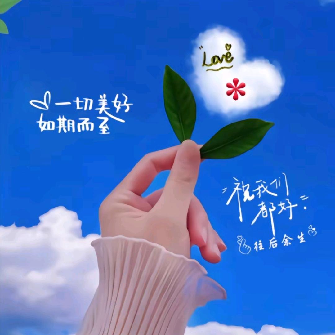 💗᭄淡然一笑ꦿᩚ࿐ᩚ