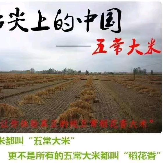 五常大米     玉树临风远
