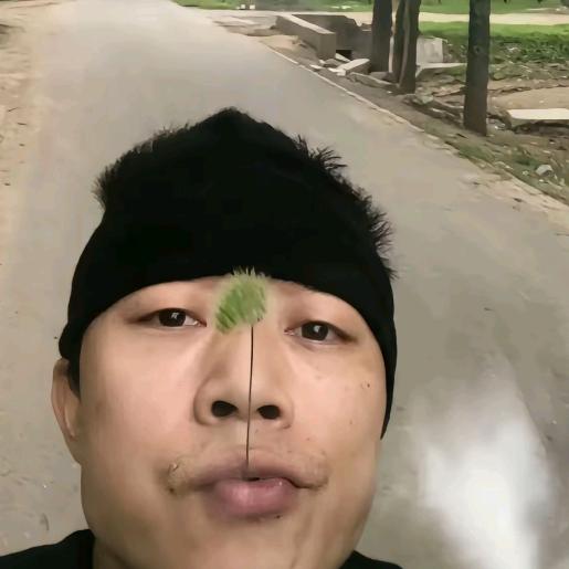胜禹