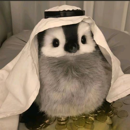 少在意人类的看法