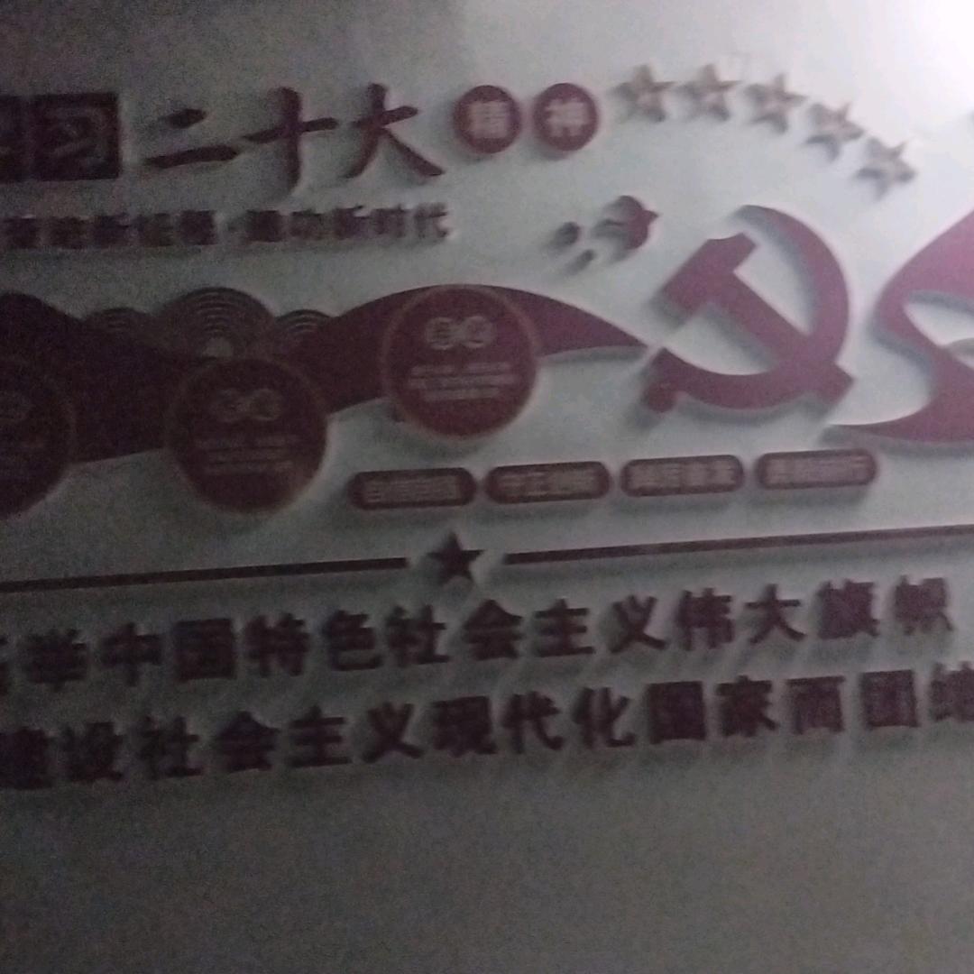 有来有去