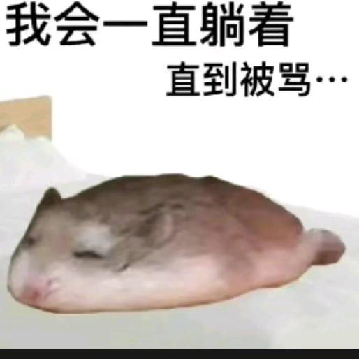 鼠鼠