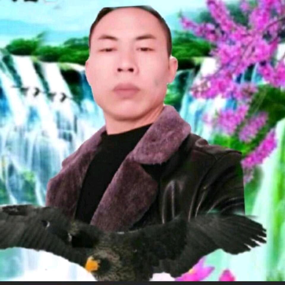 刘哥哥